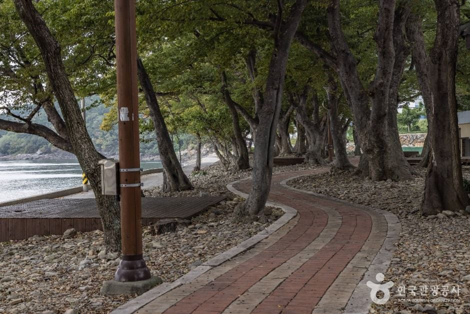 구미동해변 여행 추천 - 로드트립
