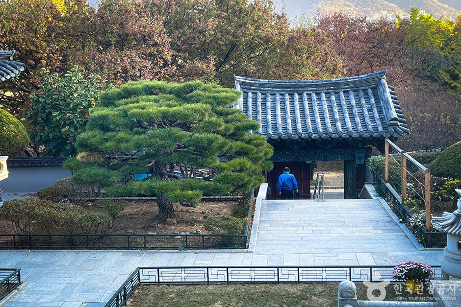 금용사(대구) 여행 추천 - 로드트립