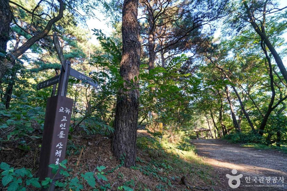 교하동 고인돌 산림욕장 여행 추천 - 로드트립