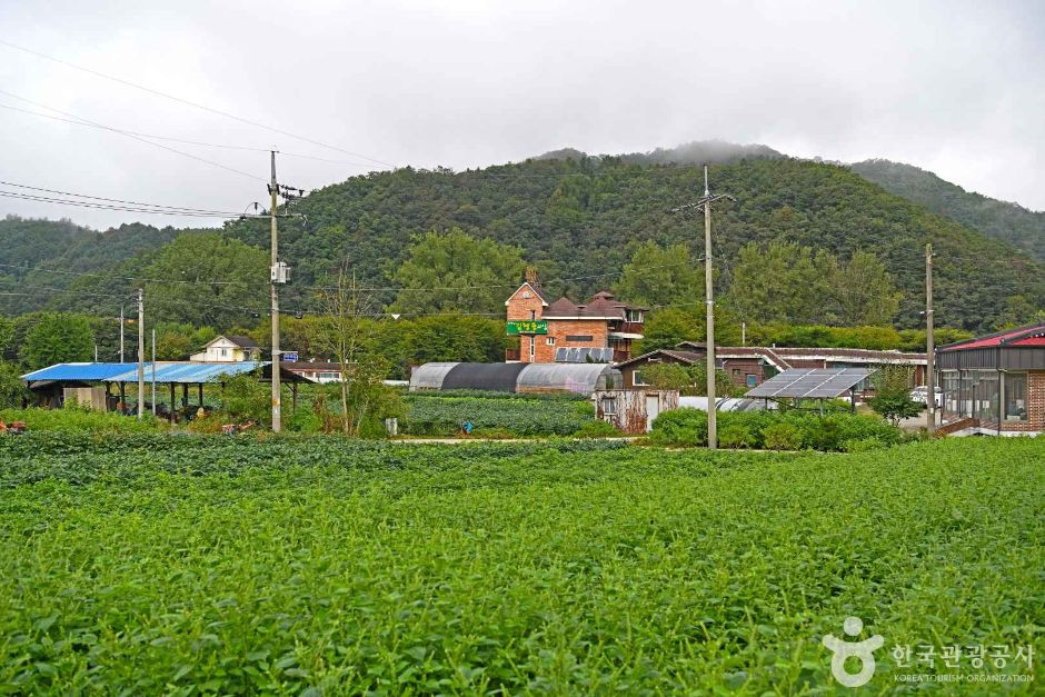 복주머니마을 여행 추천 - 로드트립
