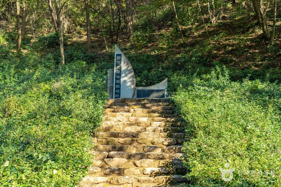 구례장죽전녹차시배지 여행 추천 - 로드트립