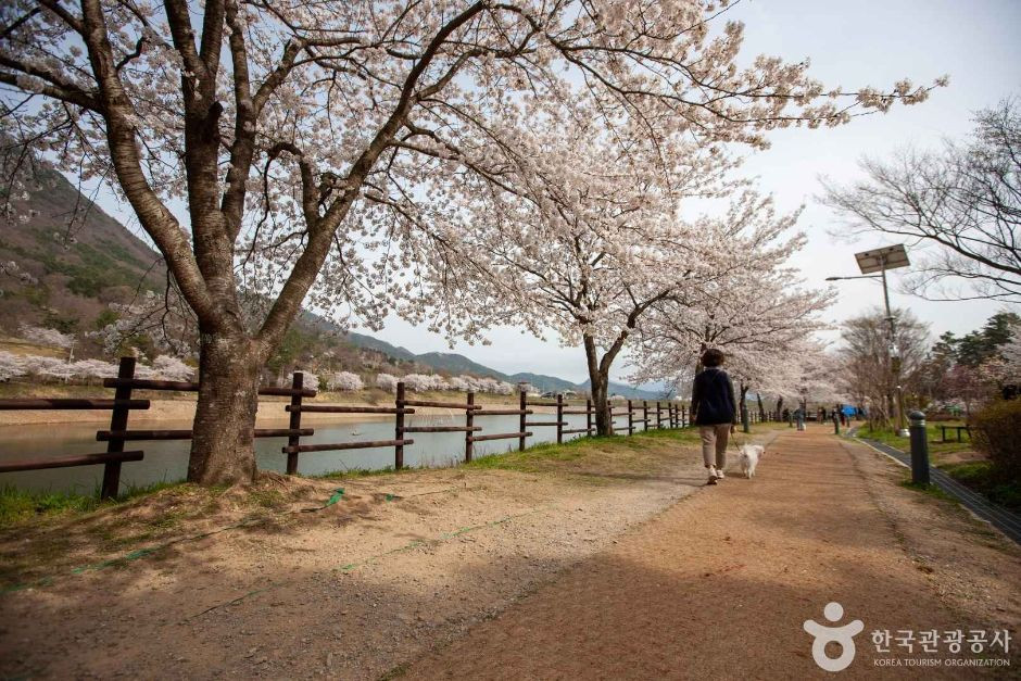 동구리호수공원 여행 추천 - 로드트립
