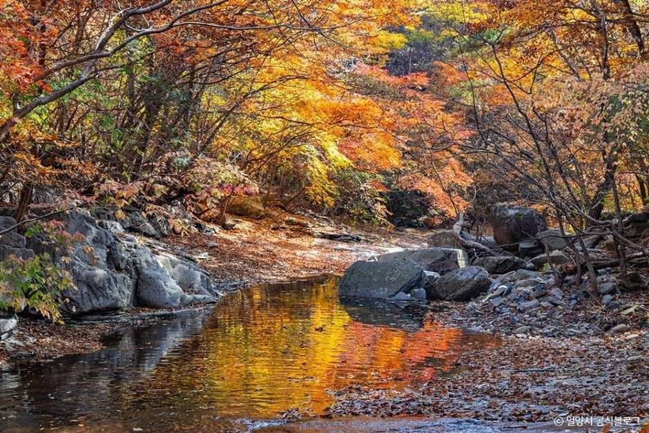 쇠점골계곡 여행 추천 - 로드트립