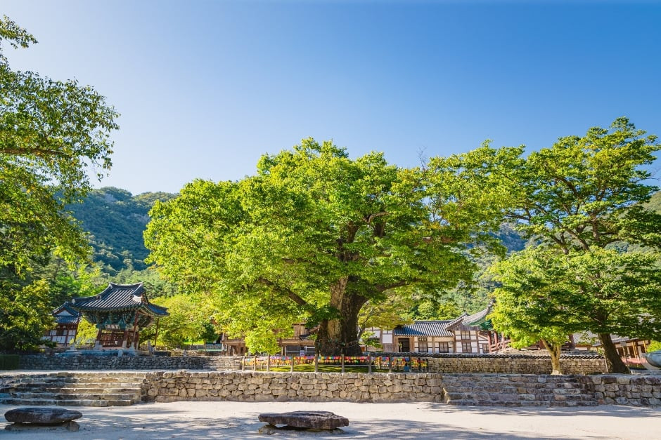 내소사(부안) 여행 추천 - 로드트립
