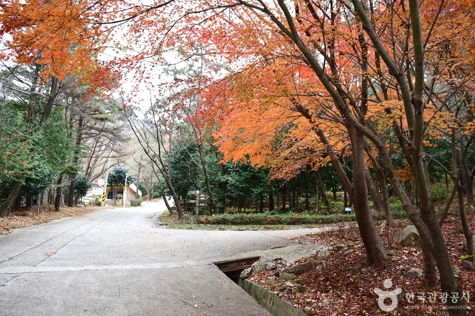 흑석산 자연휴양림 여행 추천 - 로드트립