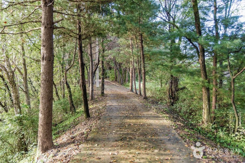 김화군민 망향탑 여행 추천 - 로드트립