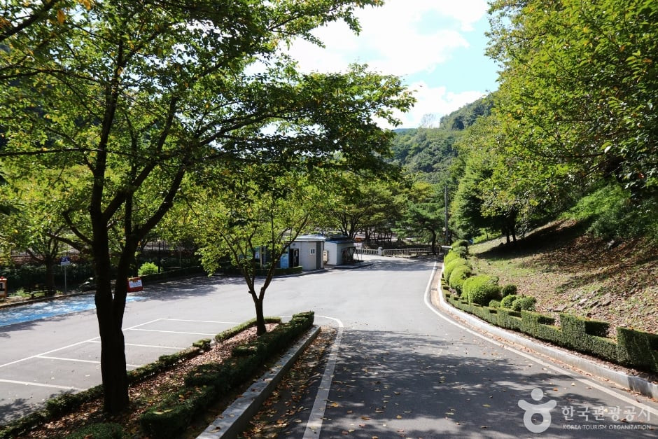 의령벽계관광지 여행 추천 - 로드트립