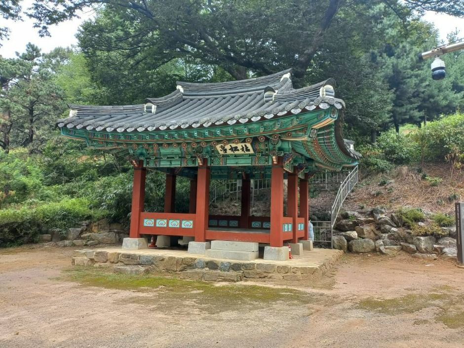 고송정지 여행 추천 - 로드트립