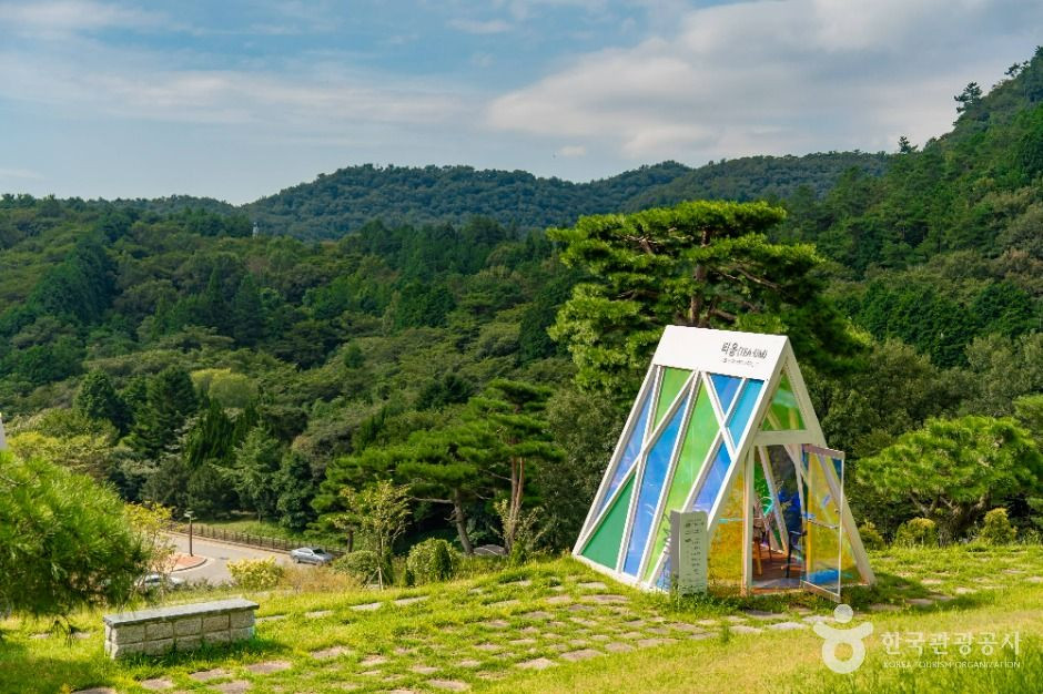 한국차문화공원 여행 추천 - 로드트립