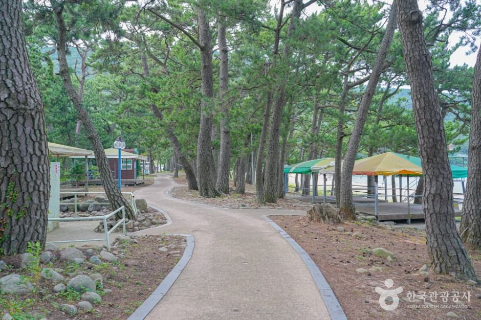 덕흥해수욕장 여행 추천 - 로드트립