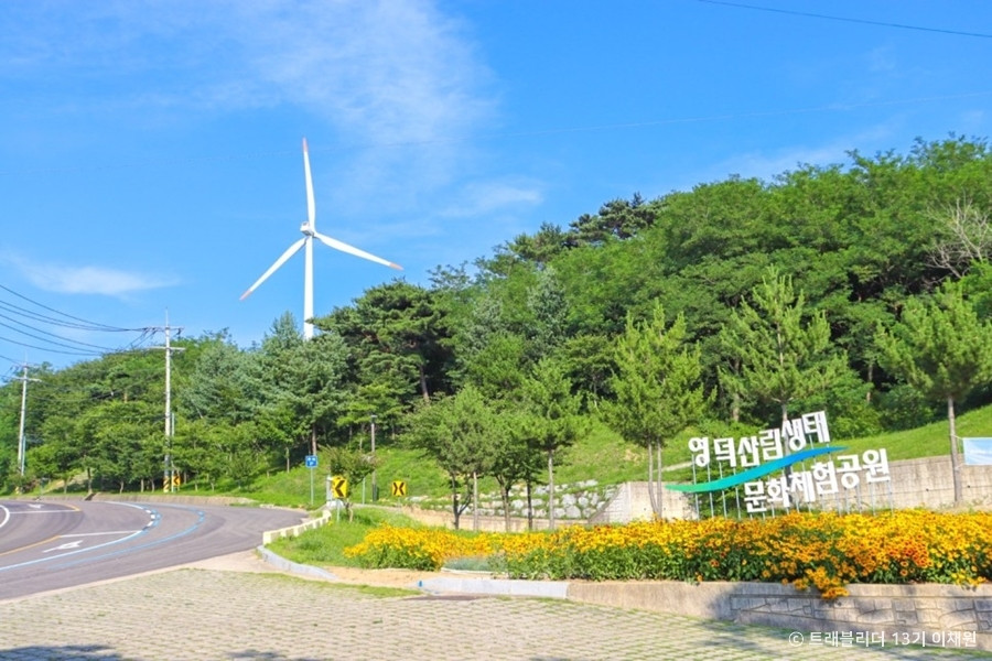 별파랑공원 여행 추천 - 로드트립