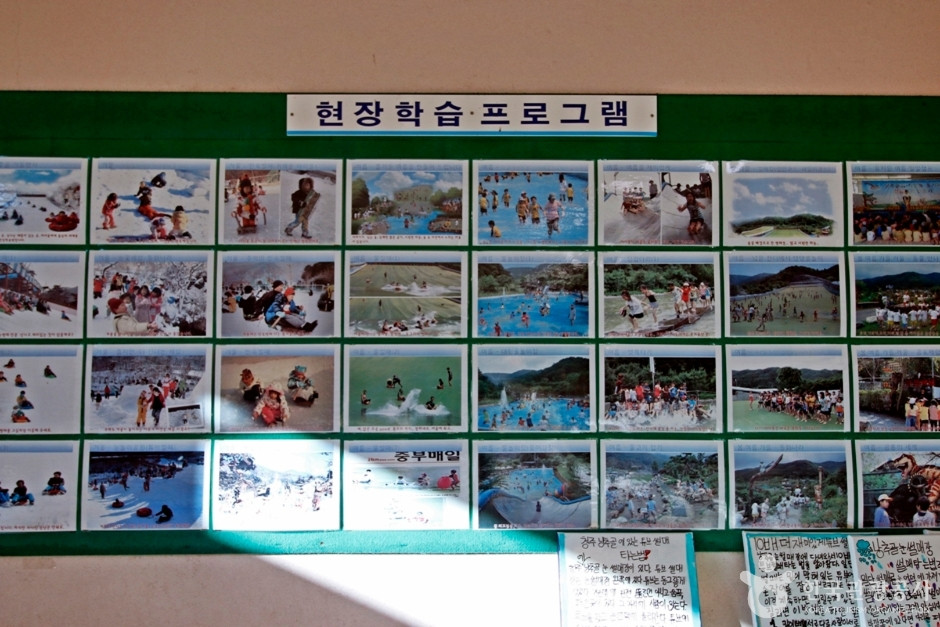 낭추골 현장체험학습원 여행 추천 - 로드트립