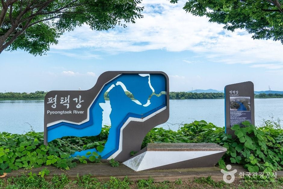 당거리나루터 여행 추천 - 로드트립