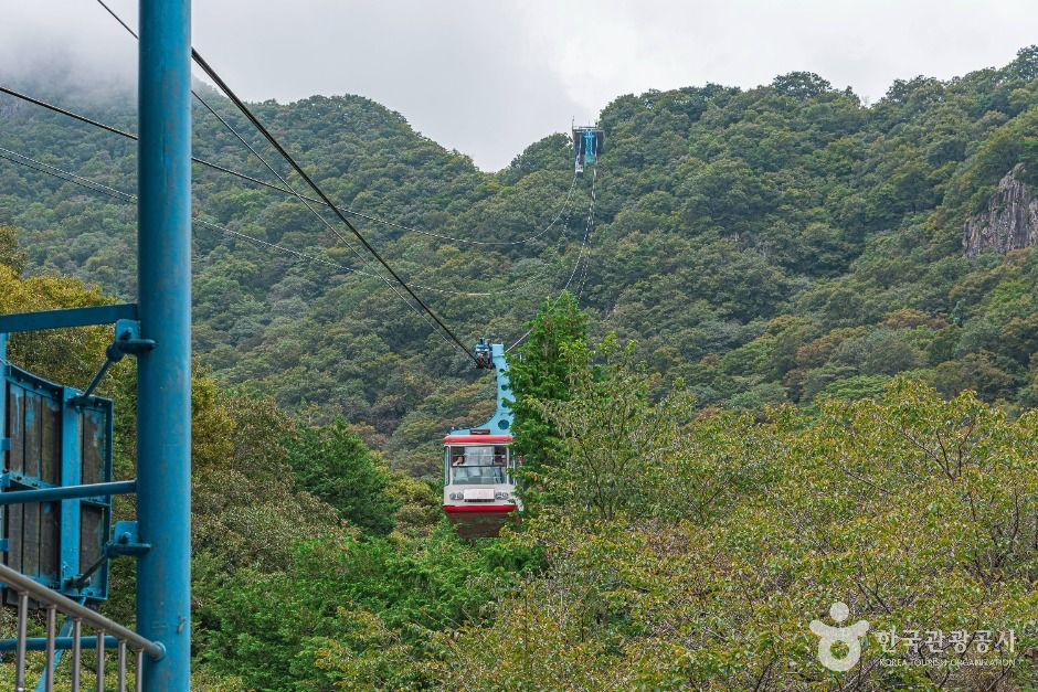 정읍 내장산 관광특구 여행 추천 - 로드트립