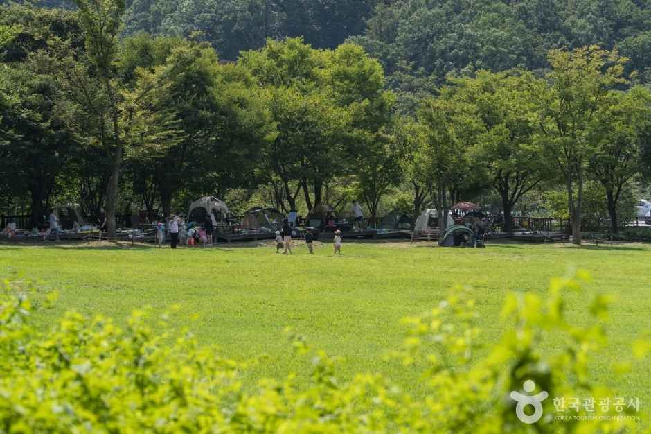 용인자연휴양림 여행 추천 - 로드트립