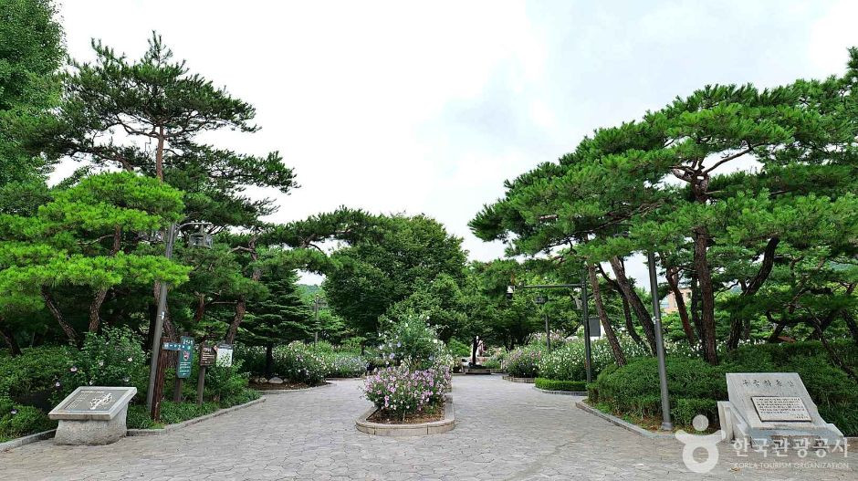 무궁화동산 여행 추천 - 로드트립