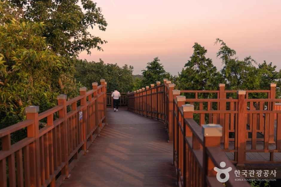 봉래산(부산) 여행 추천 - 로드트립