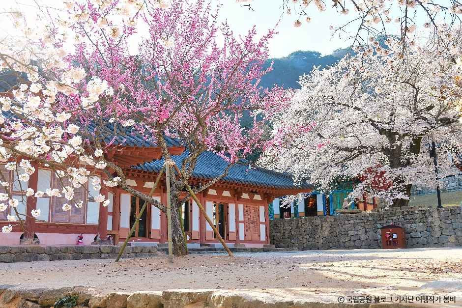 내소사(부안) 여행 추천 - 로드트립