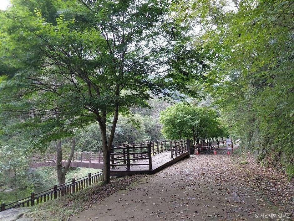 방화동자연휴양림·가족휴가촌 여행 추천 - 로드트립