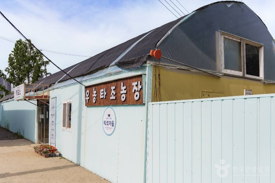 우농타조농장 여행 추천 - 로드트립