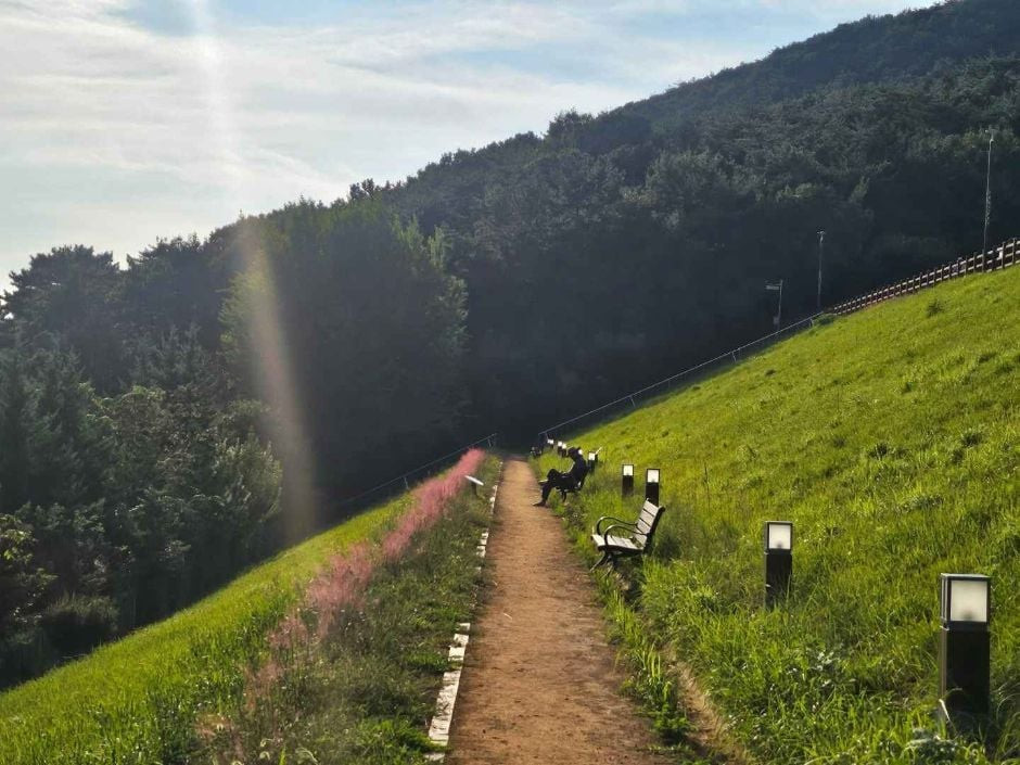 미평 봉화산 산림욕장 여행 추천 - 로드트립