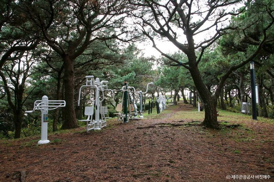삼매봉 여행 추천 - 로드트립
