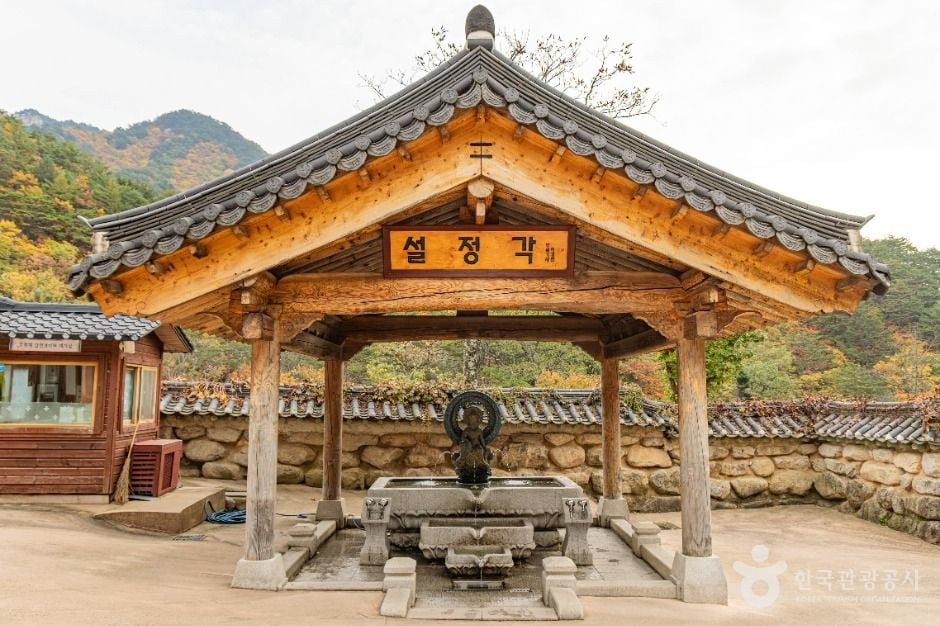 신흥사(설악산) 여행 추천 - 로드트립