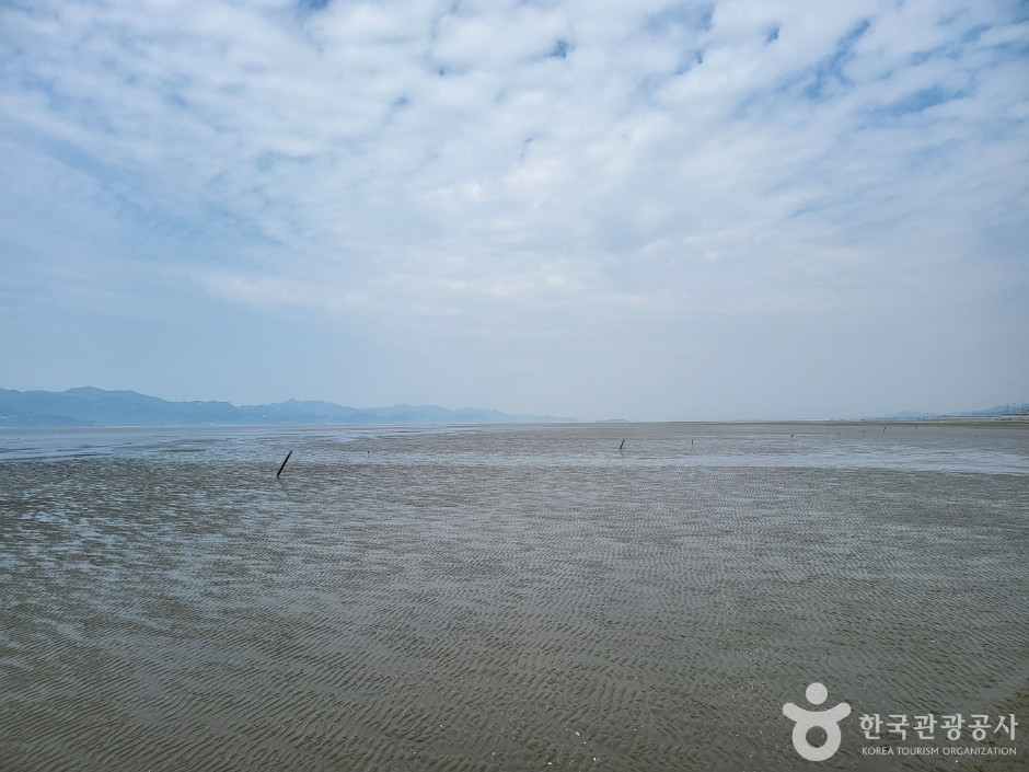 고창갯벌 여행 추천 - 로드트립