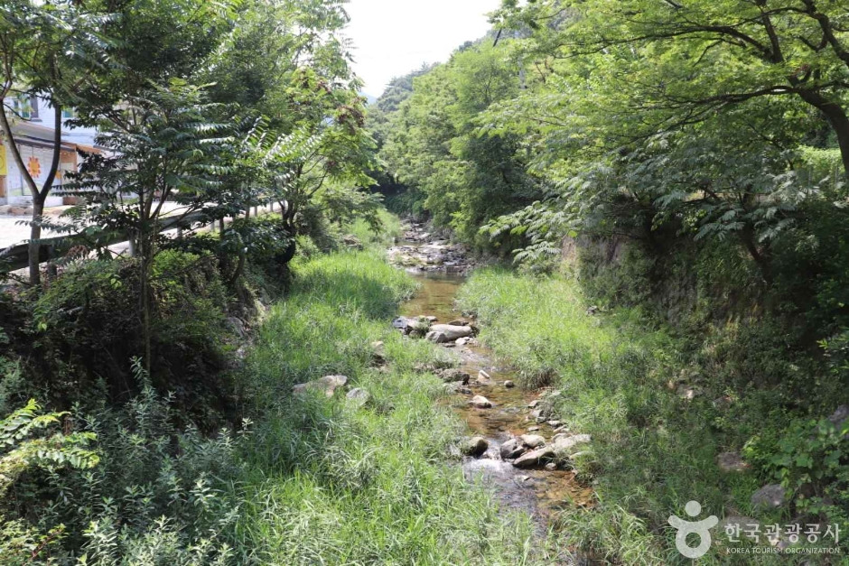 강당골 산촌체험관 여행 추천 - 로드트립
