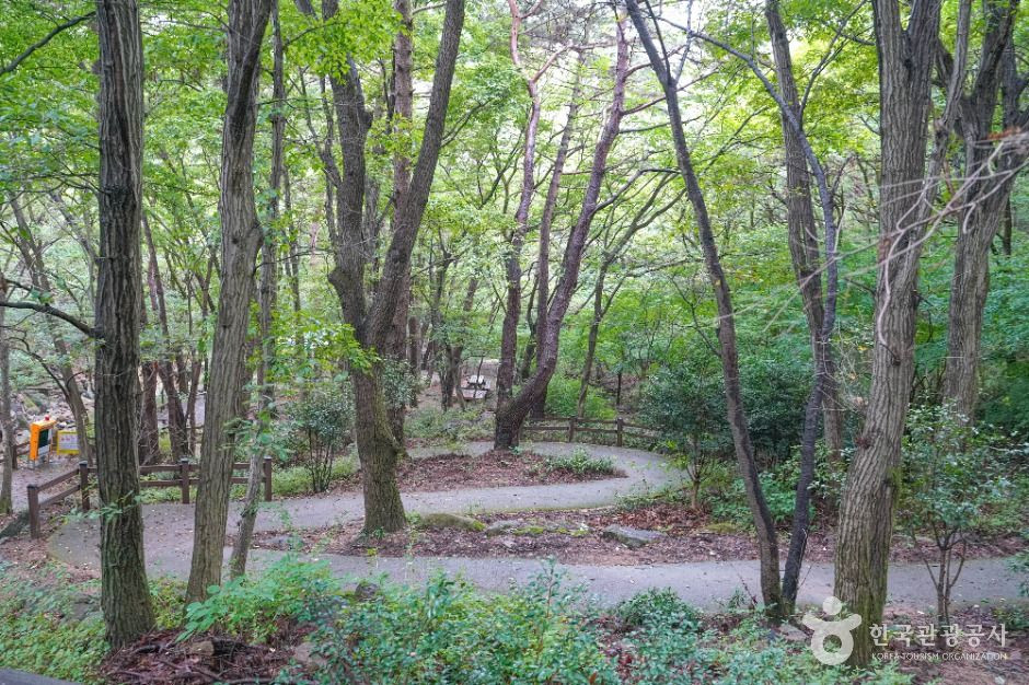 백양산 웰빙숲 여행 추천 - 로드트립