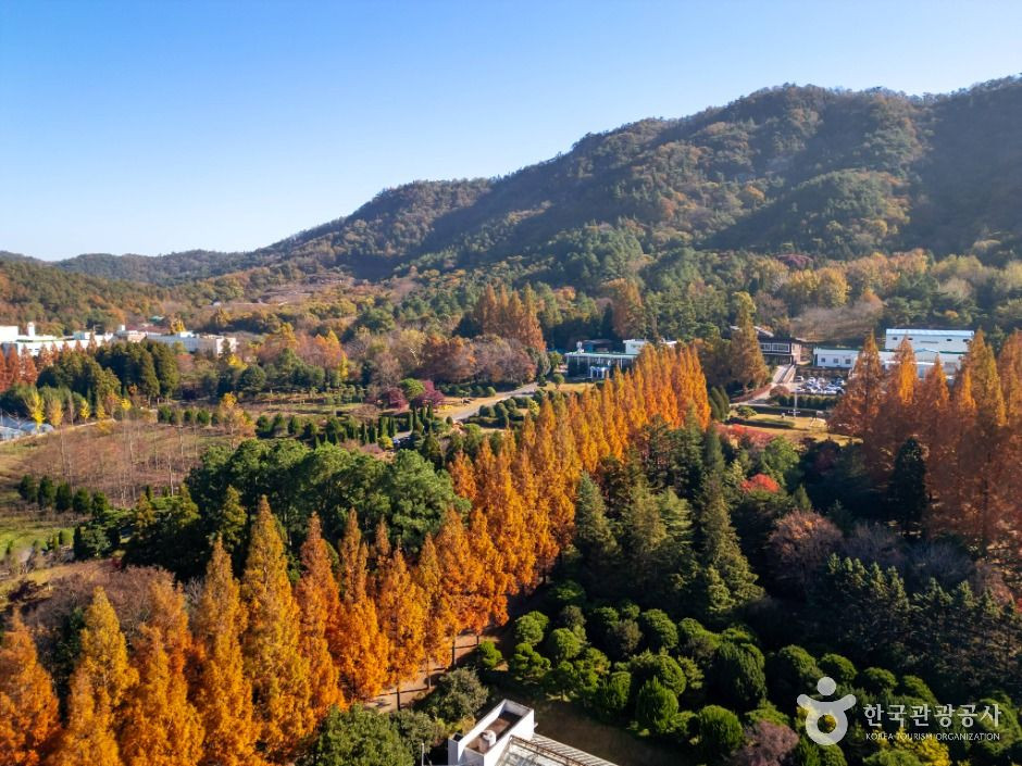 전라남도 산림연구원 여행 추천 - 로드트립