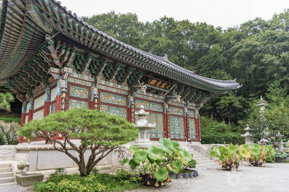미륵사(용인) 여행 추천 - 로드트립