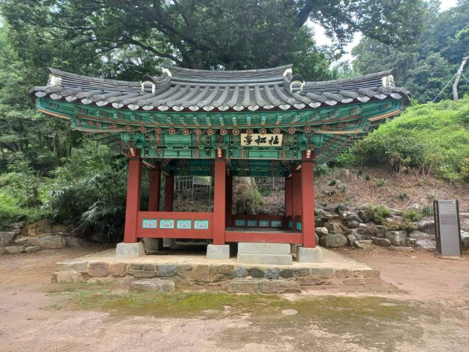 고송정지 여행 추천 - 로드트립