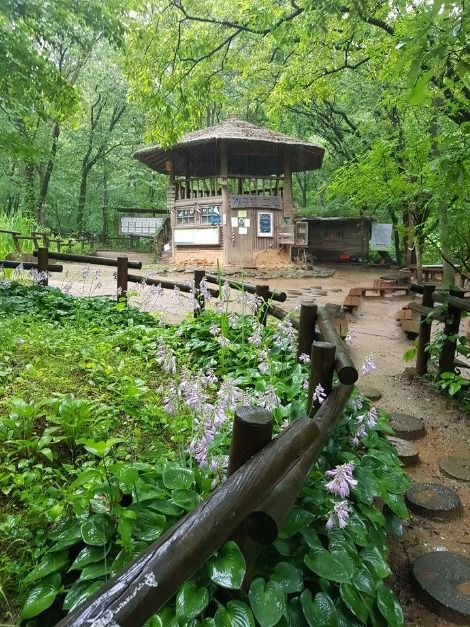 맹산반딧불이자연학교 여행 추천 - 로드트립
