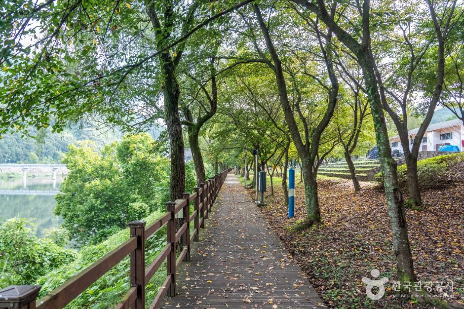 금강로하스대청공원 여행 추천 - 로드트립
