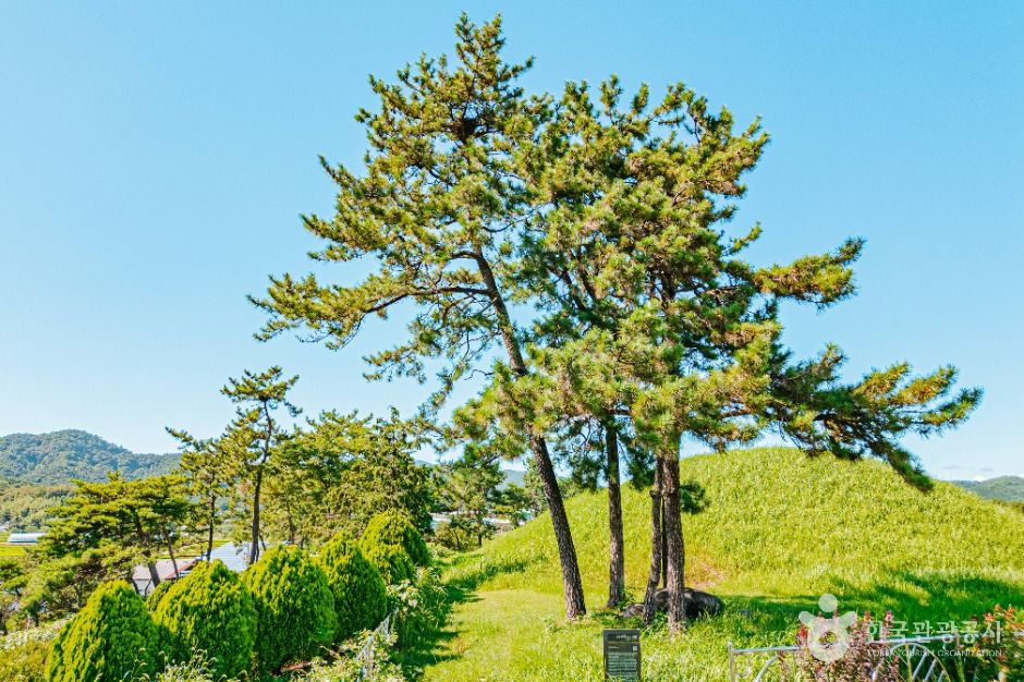 함평예덕리고분군 여행 추천 - 로드트립