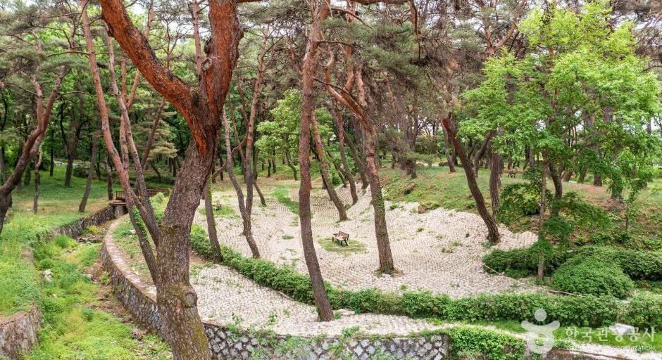 동호숲 여행 추천 - 로드트립
