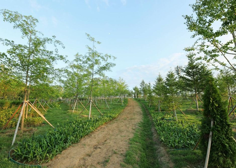 충주 시민의 숲 여행 추천 - 로드트립