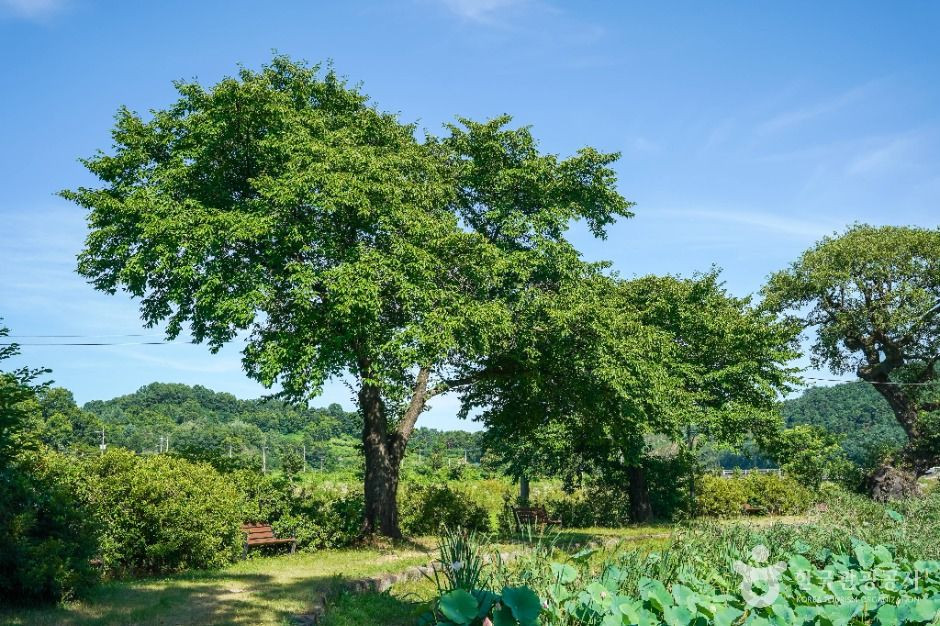 예천권씨 병암정 및 별묘 여행 추천 - 로드트립