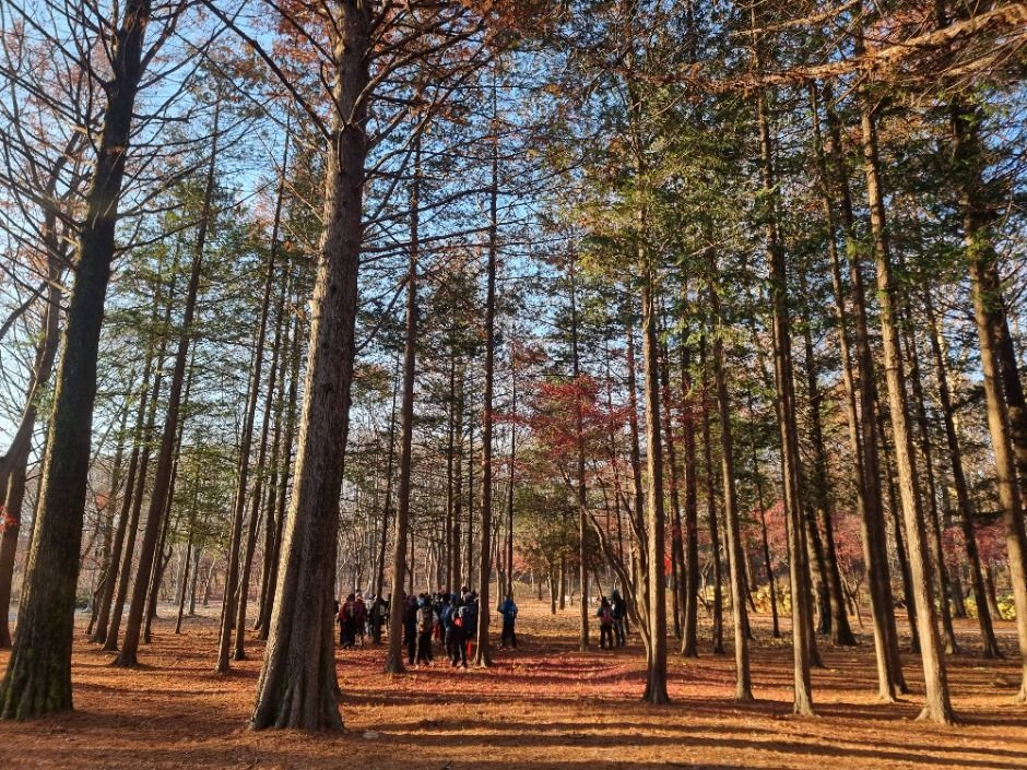 [서울둘레길 10코스] 우면산코스 여행 추천 - 로드트립