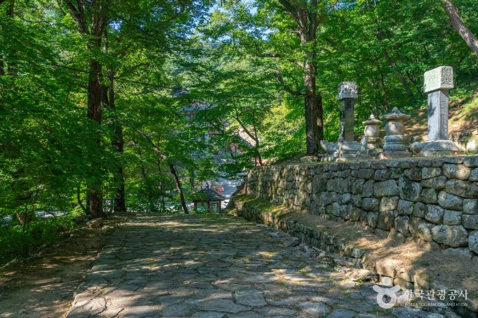 회진당원의대사지비 여행 추천 - 로드트립