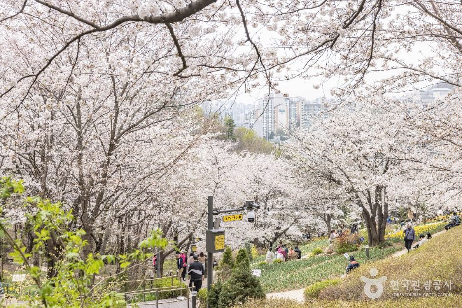 연희숲속쉼터 여행 추천 - 로드트립
