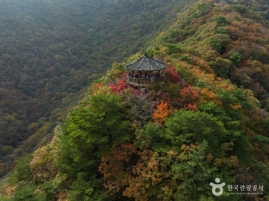 내장산국립공원 여행 추천 - 로드트립