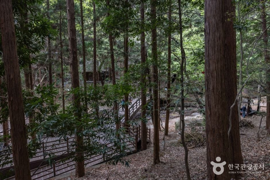 성지곡수원지 여행 추천 - 로드트립