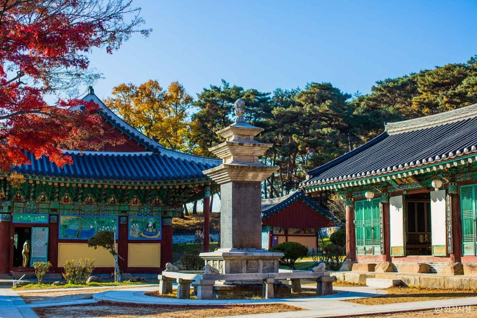 용주사(화성) 여행 추천 - 로드트립