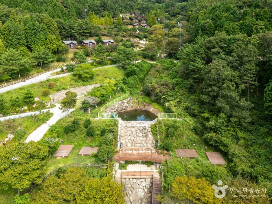 봉황산자연휴양림 여행 추천 - 로드트립