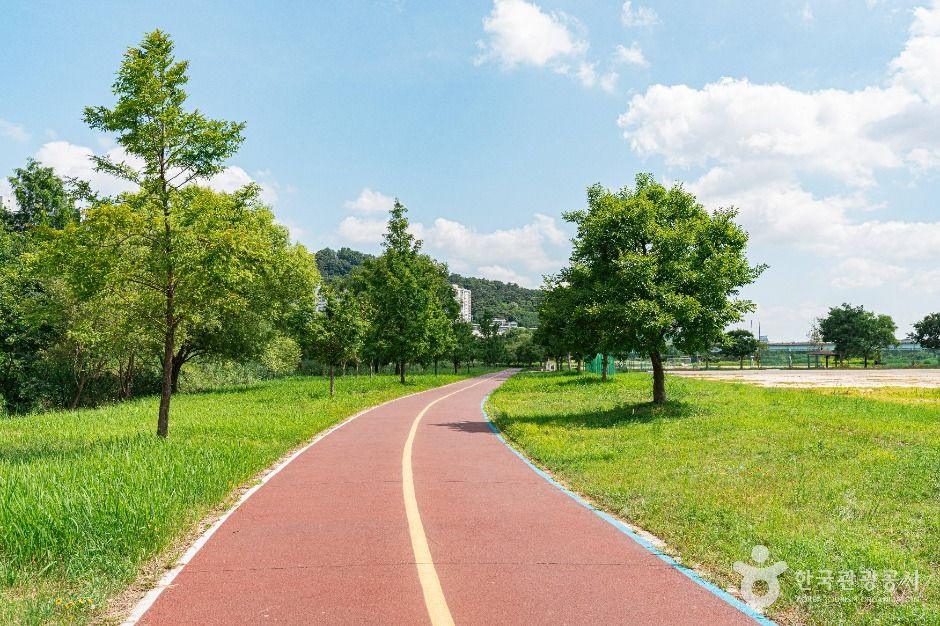 산동교친수공원 여행 추천 - 로드트립