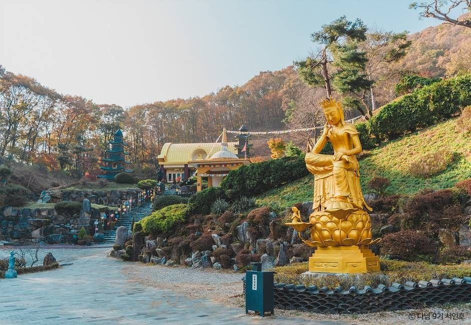 와우정사(용인) 여행 추천 - 로드트립