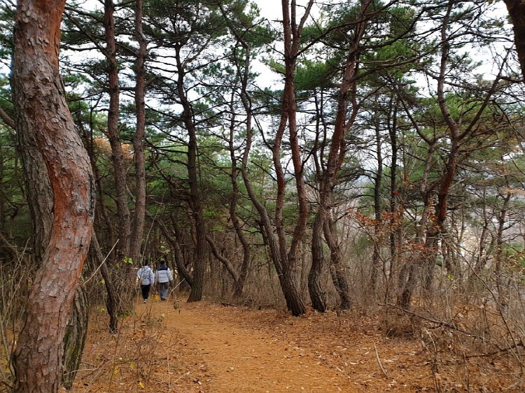 나각산 여행 추천 - 로드트립