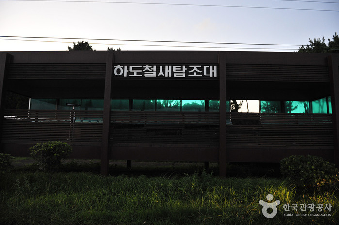 하도리 철새도래지 여행 추천 - 로드트립